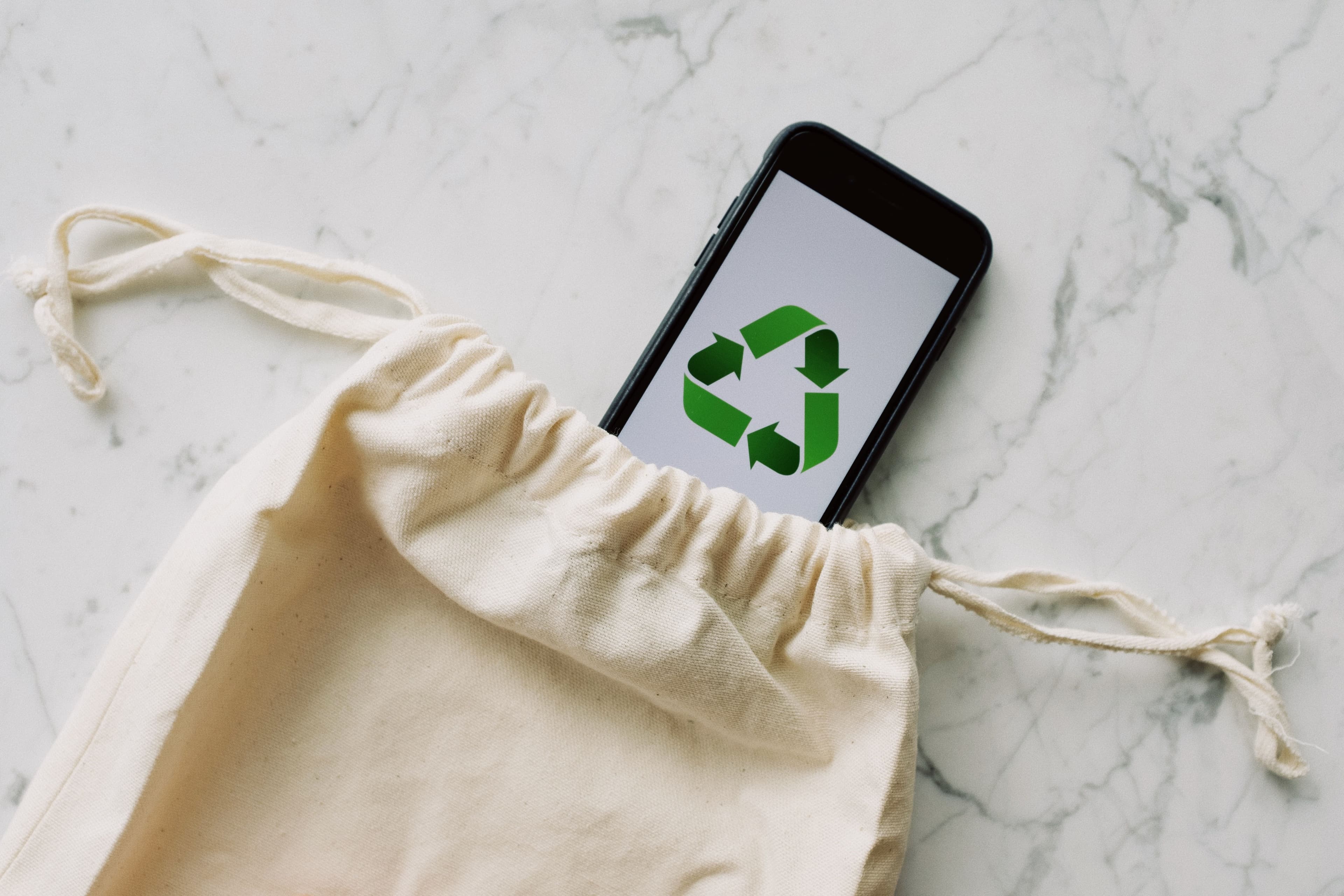 Recycle Pro